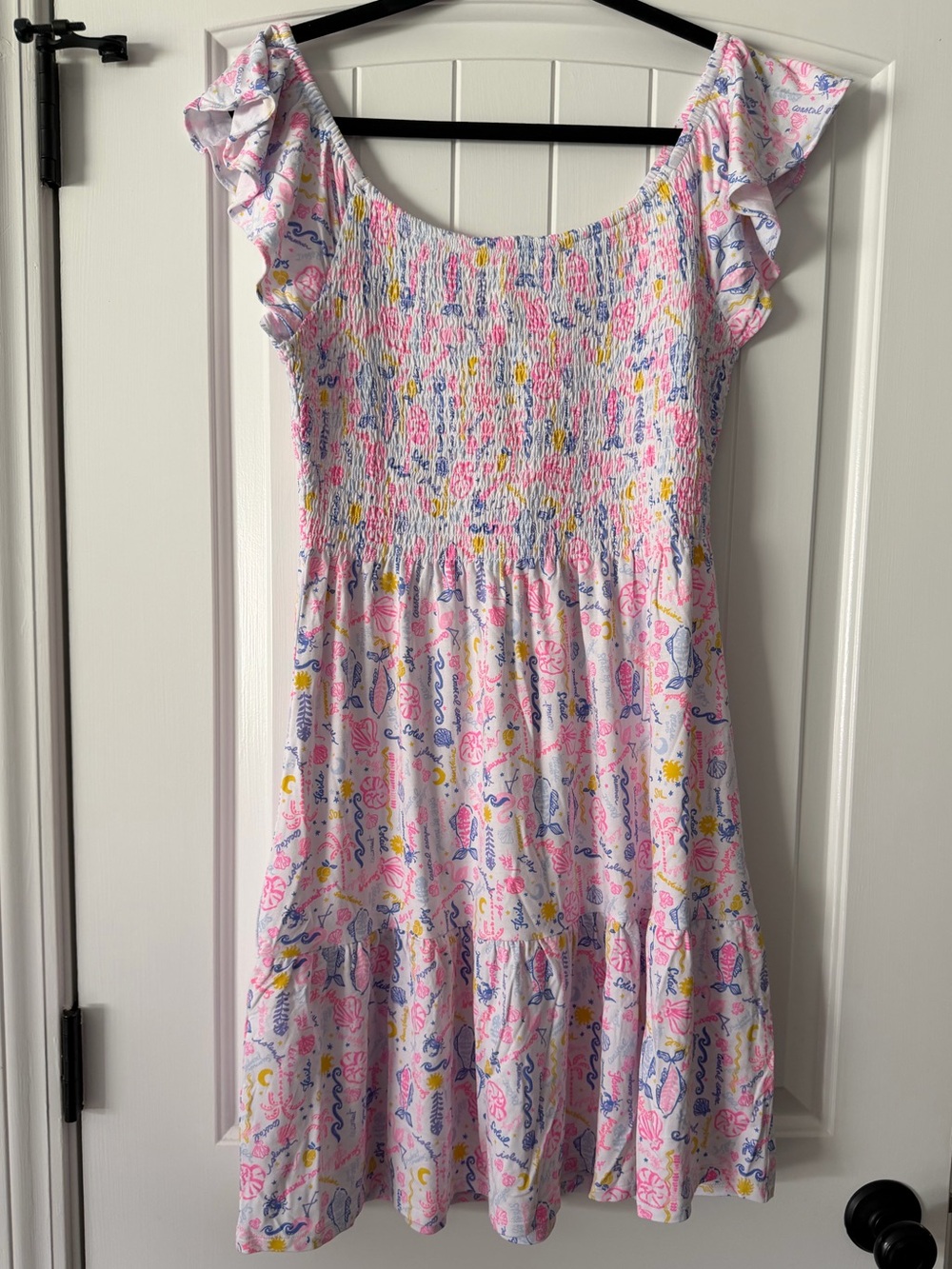 NWT Lilly Pulitzer Jilly Smocked Dress size Large - original retail $148